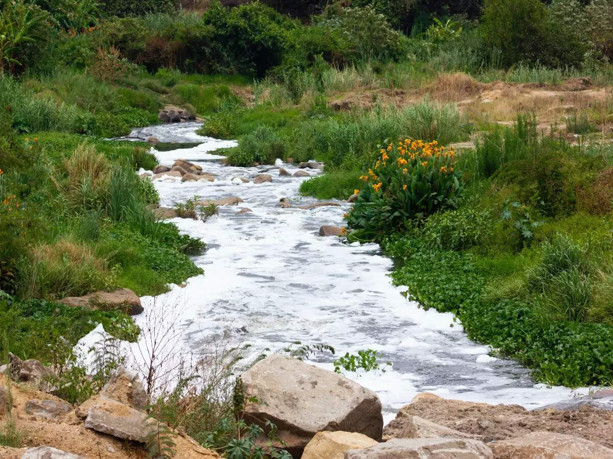 Zimbabwe Zimbabwe