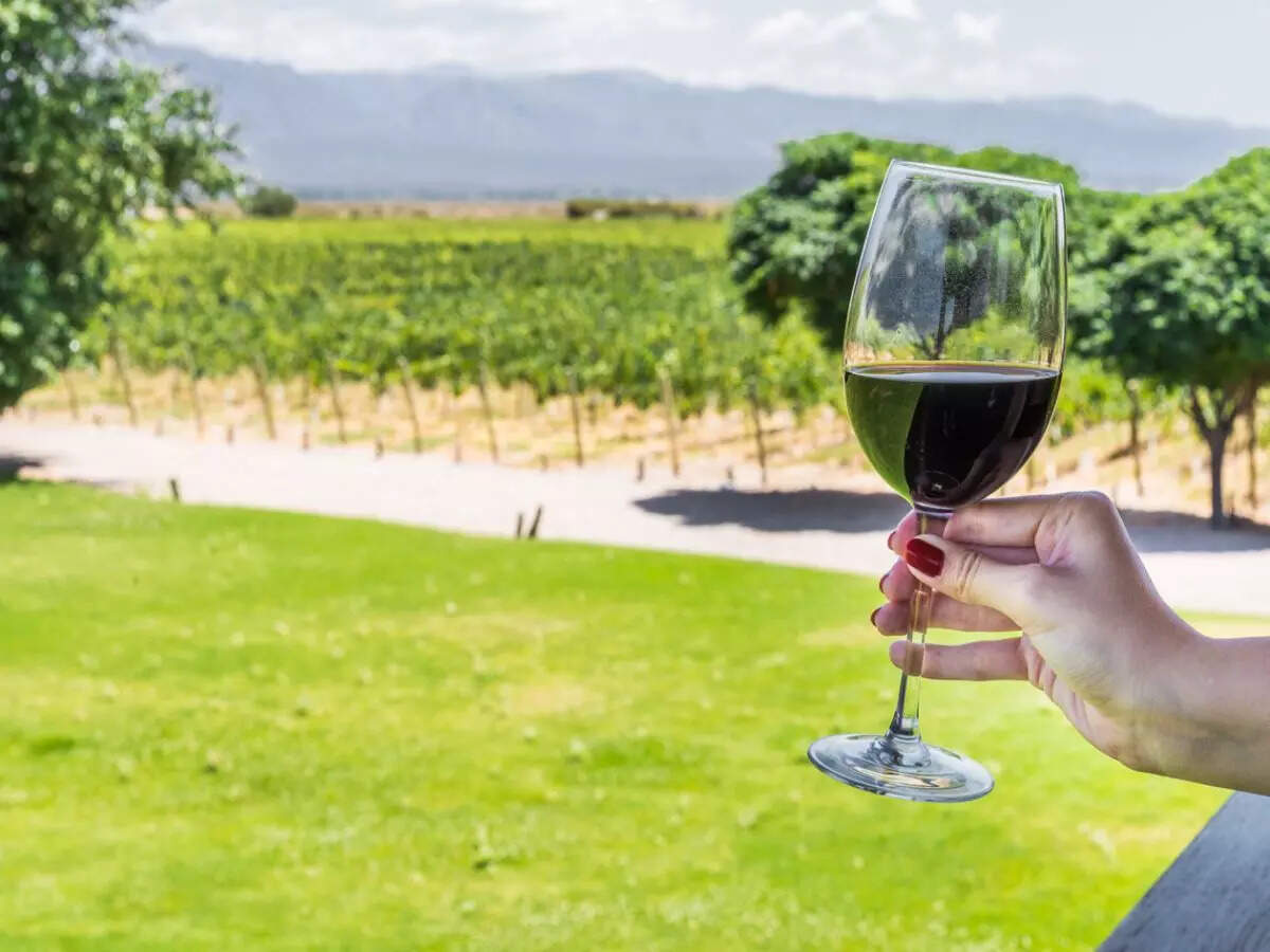 wine