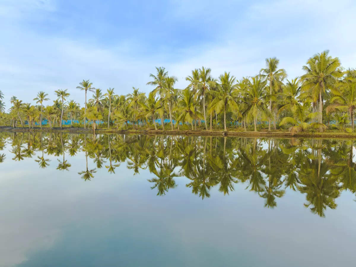 Ashtamudi Lake backwaters in Kerala