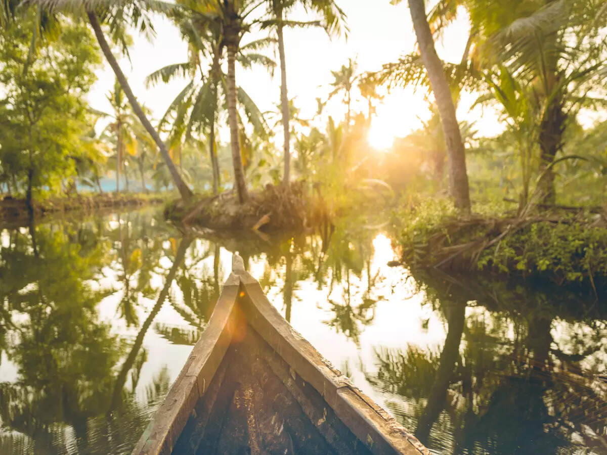 Backwaters in Kerala