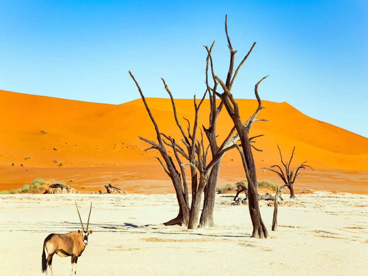 Namibia Namibia