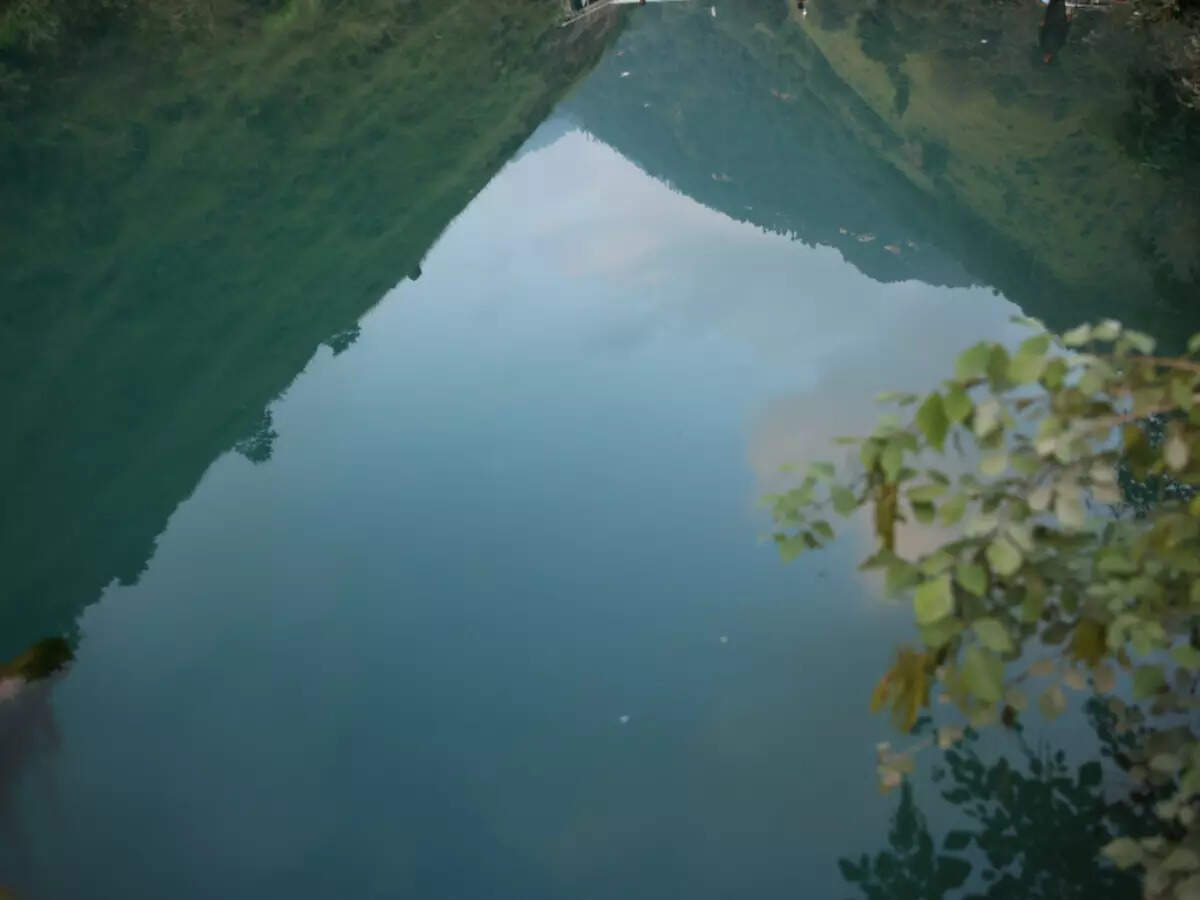 pond 1 pond 1