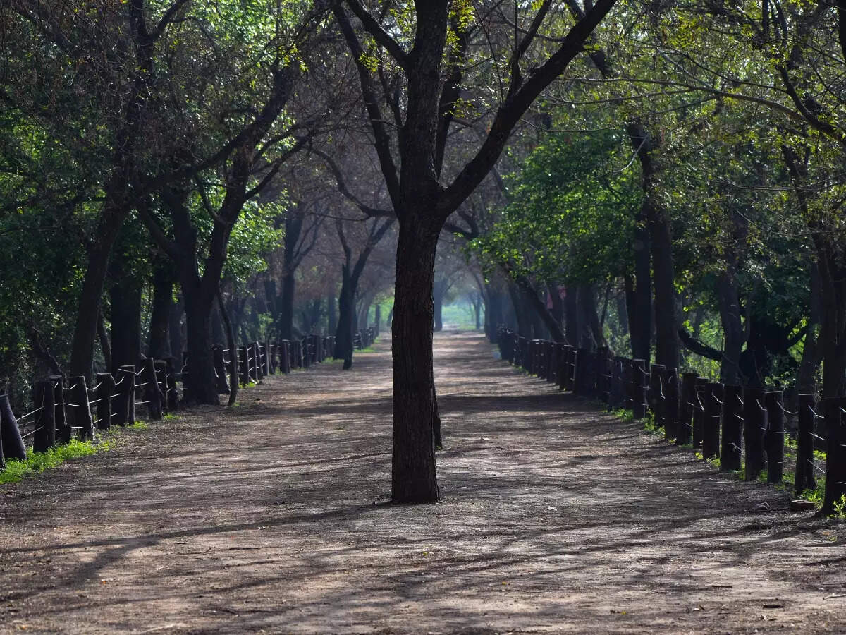 Sultanpur National Park's entrance