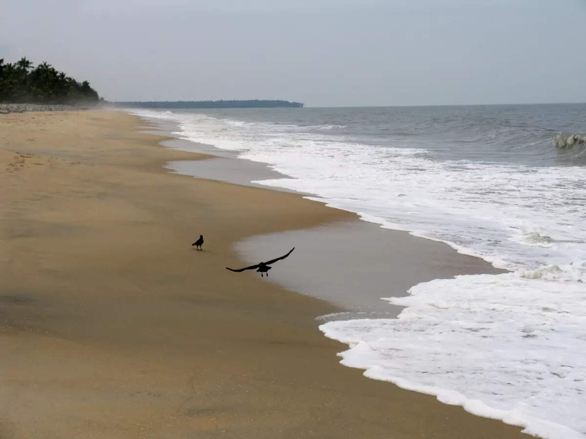 Kappad Beach in Kozhikode