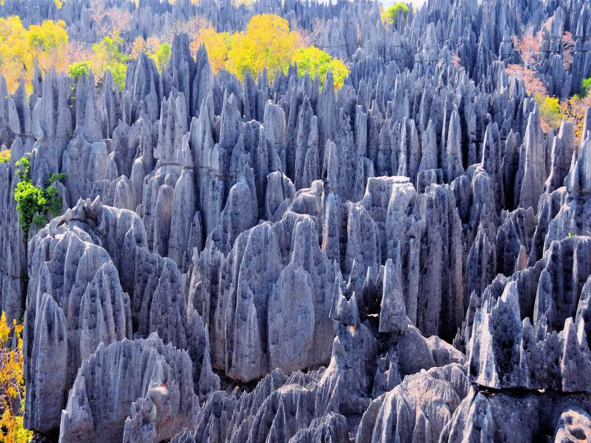 Tsingy de Bemaraha