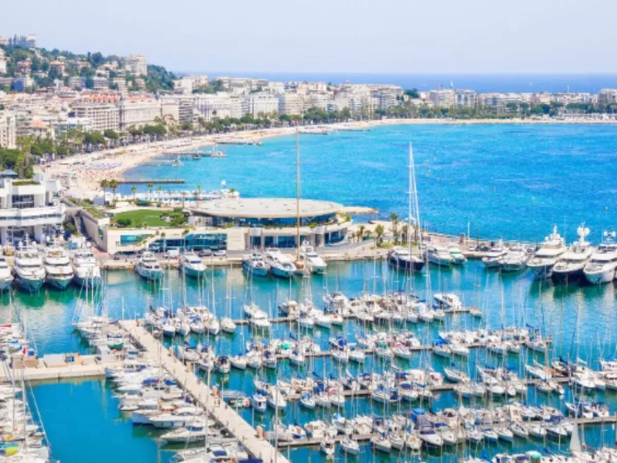 Yachts in Cannes