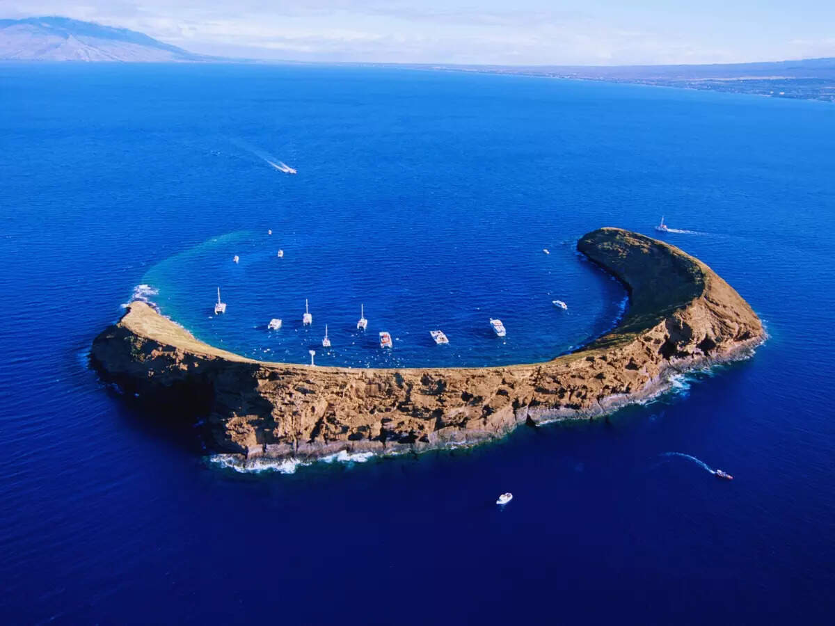 Snorkelling and scuba diving at Molokini Crater