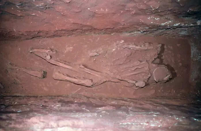 skeleton