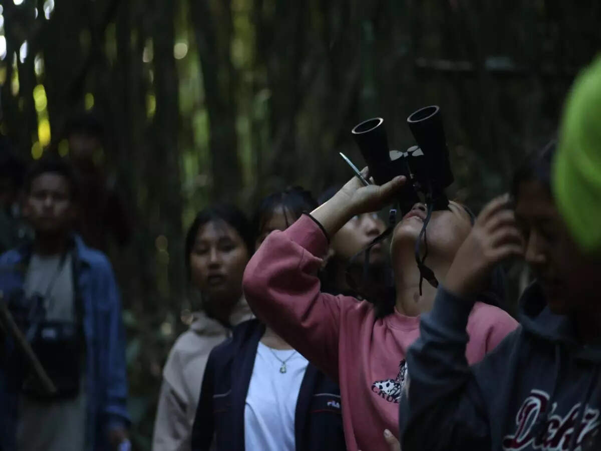 Children birdwatching