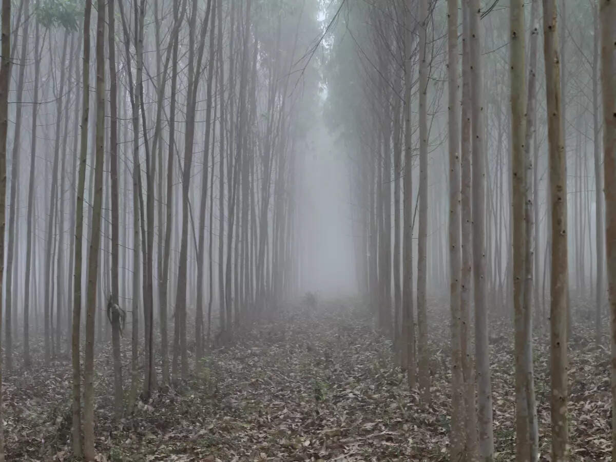 Lambasingi, Andhra_Pradesh