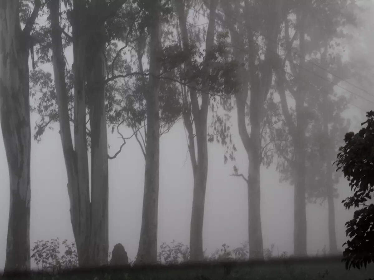 Morning in Lambasingi