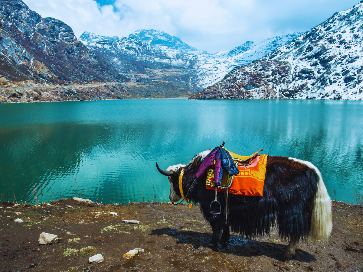 sikkim