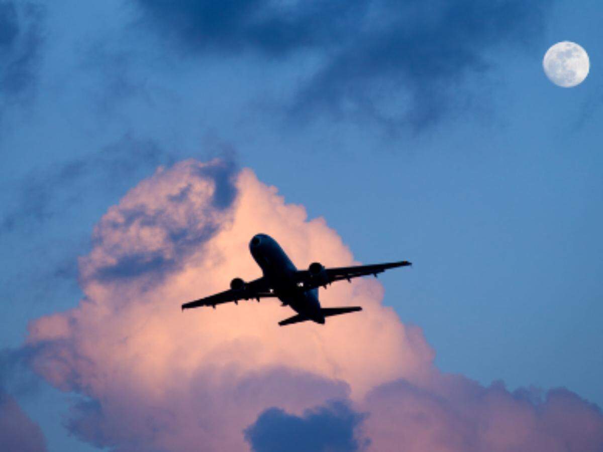 flight