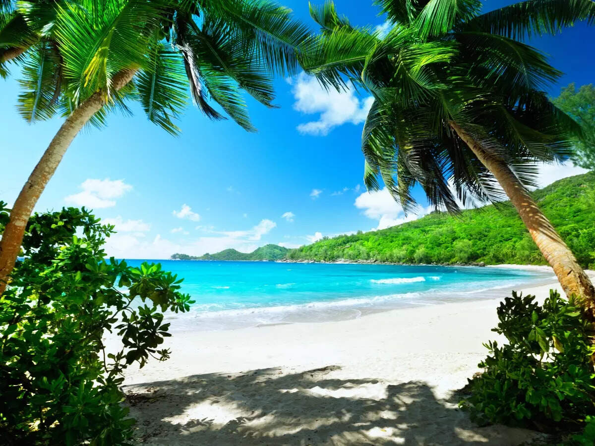 Romantic beach in Seychelles