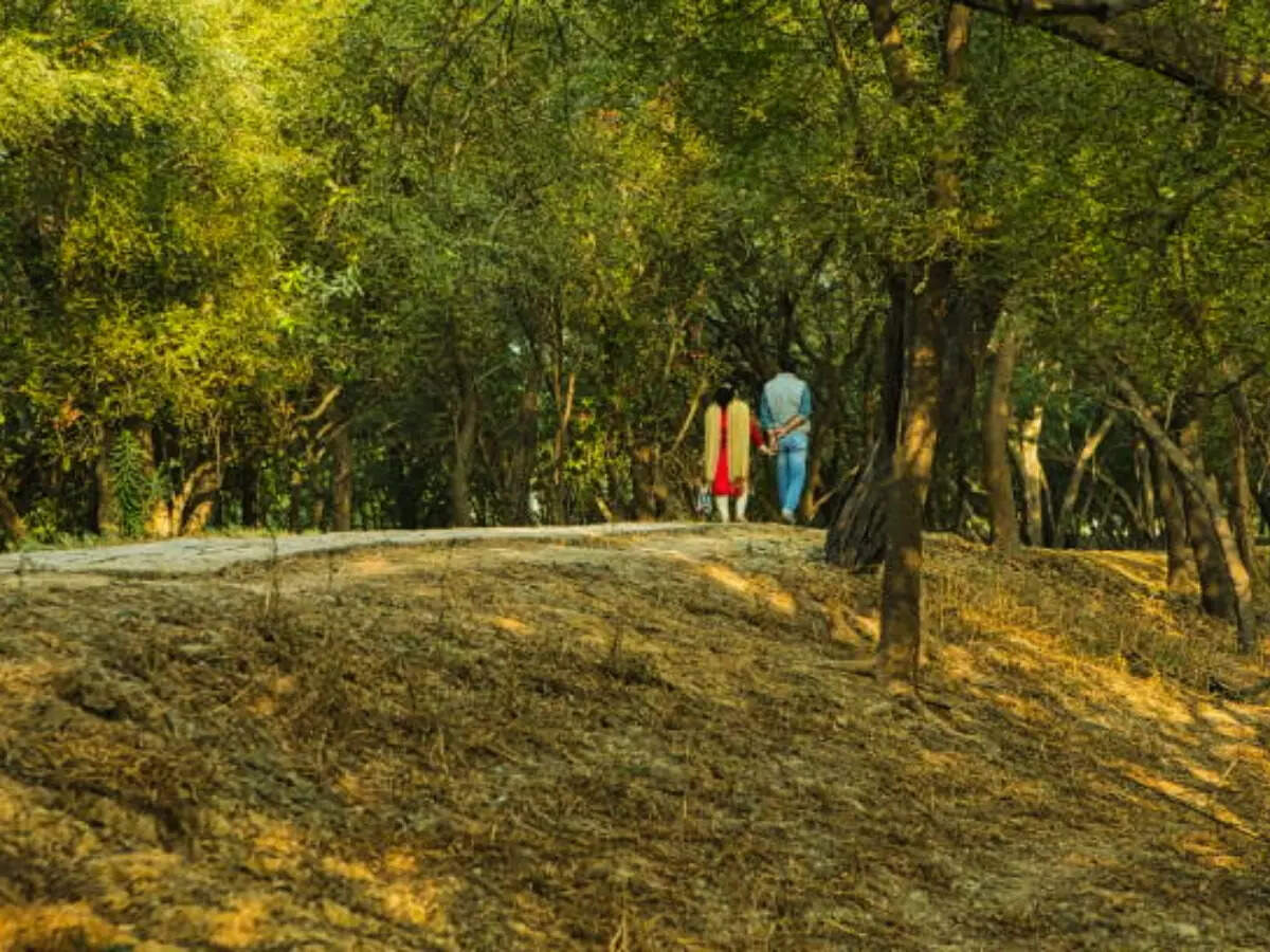 Sultanpur National Park Sultanpur National Park