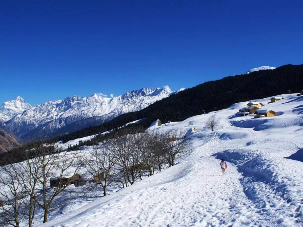 Auli