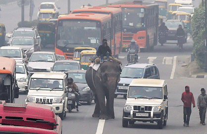 SC upholds ban on 10-year-old diesel vehicles