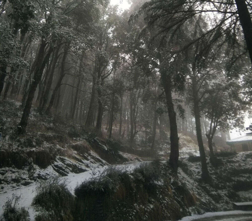 mukteshwar