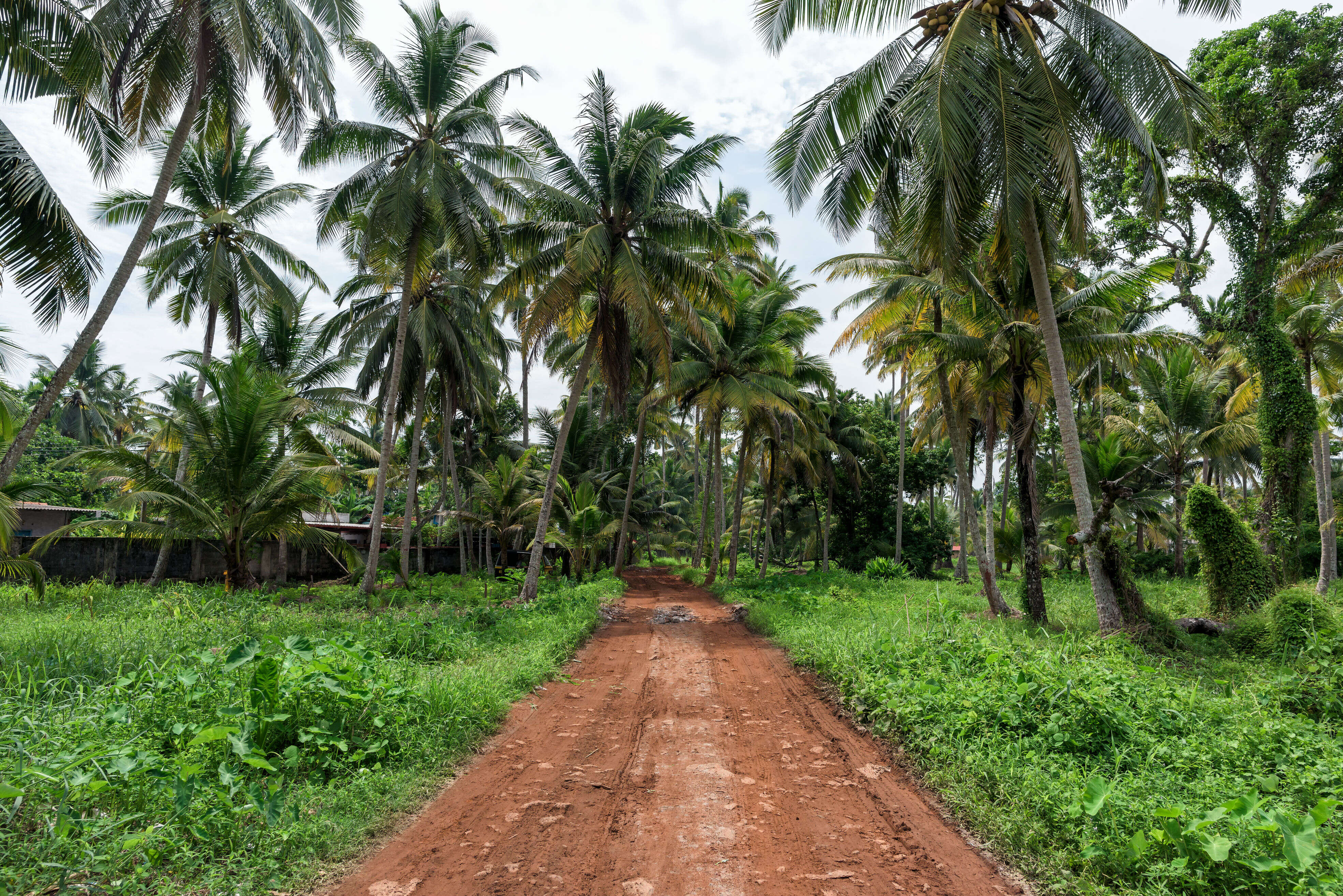 kerala alappuzha