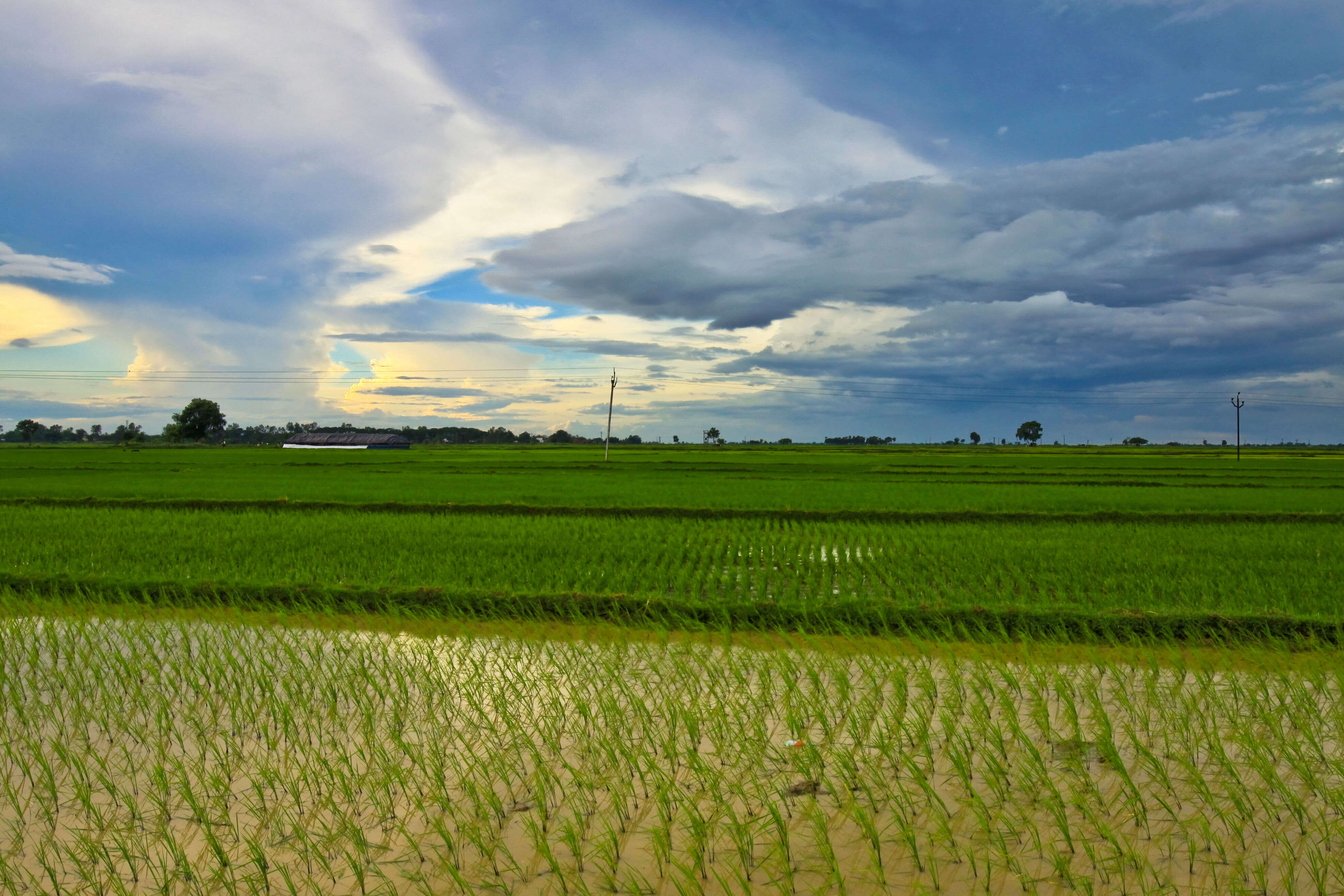 bishnupur village