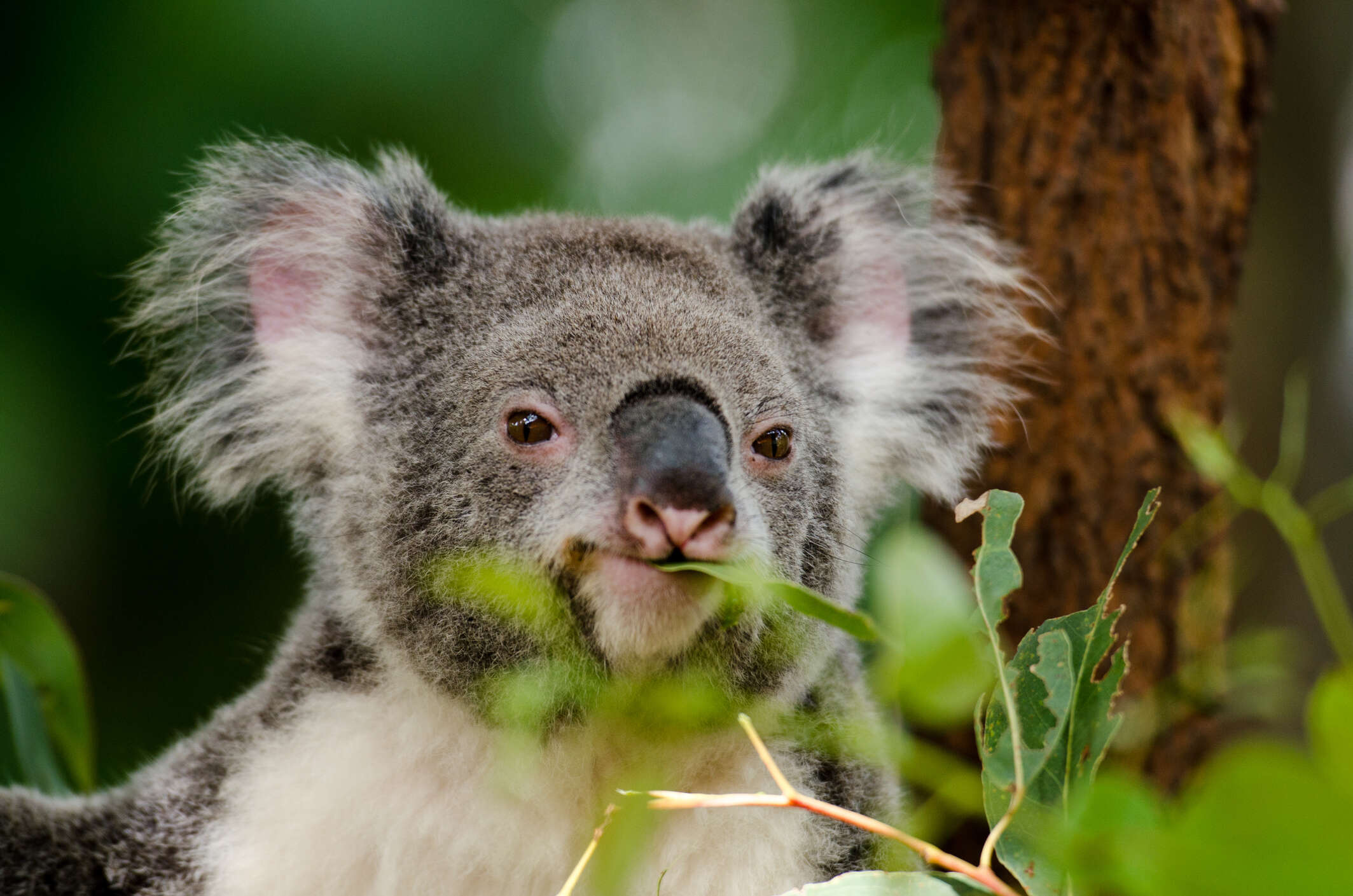 iStock-487691353