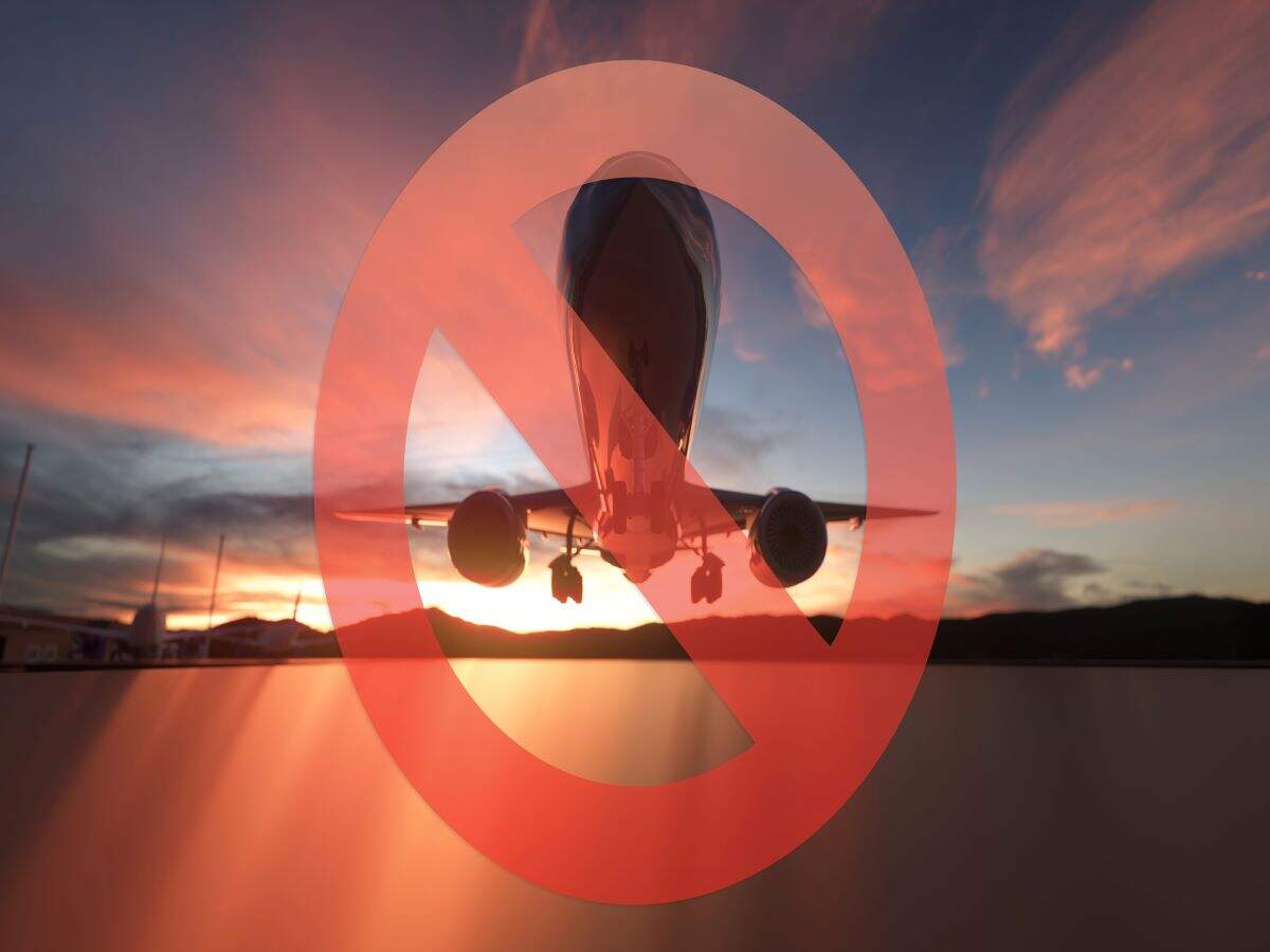 flight