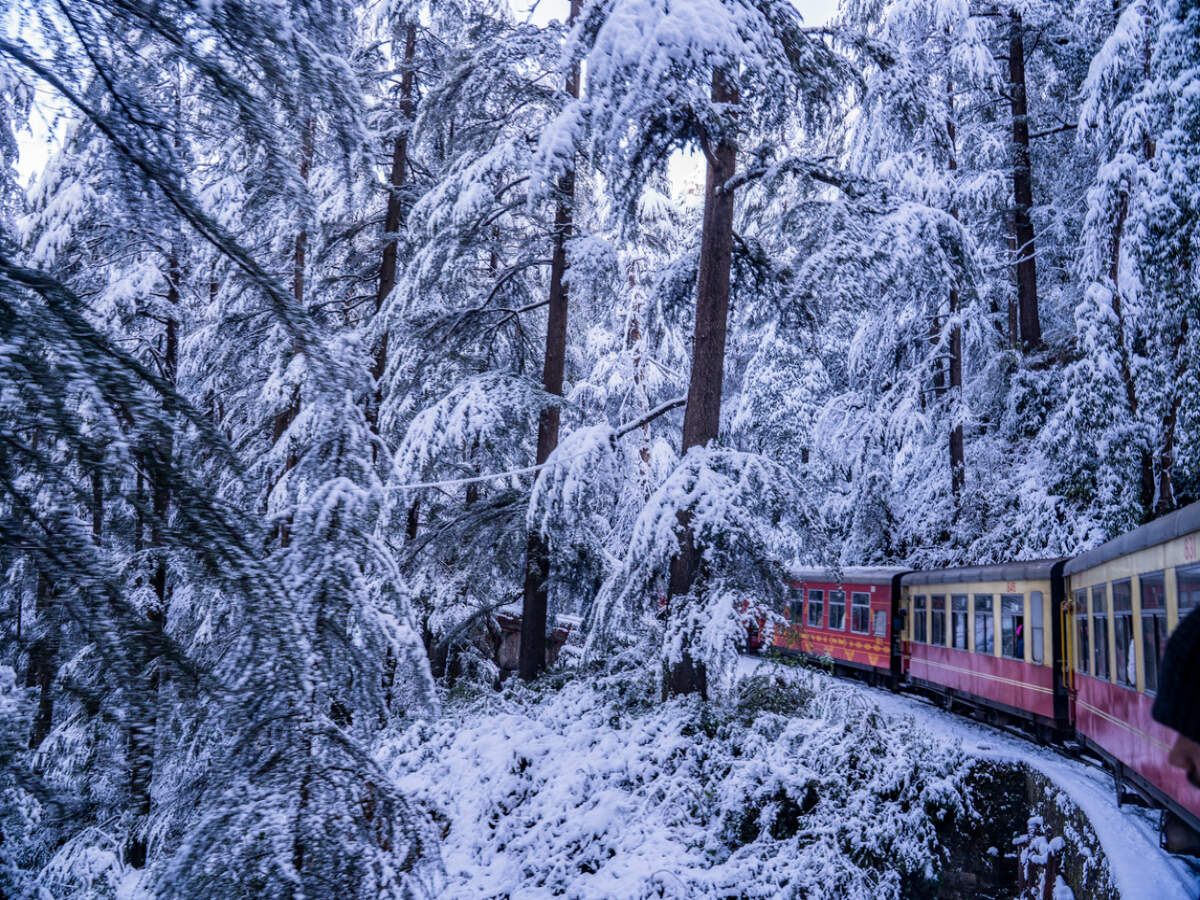 Shimla toy train