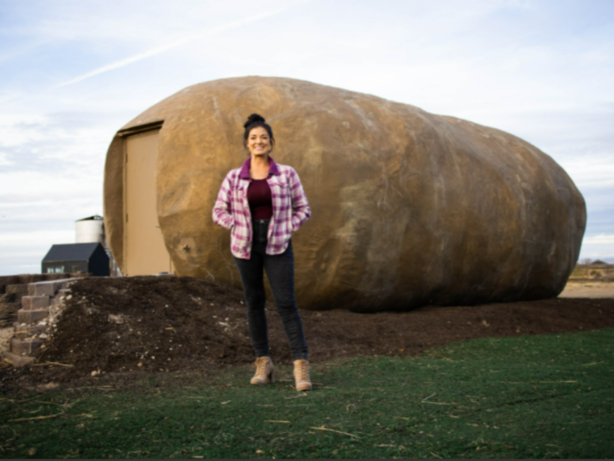 potato hotel