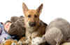 Adopt a dog, he'll be your best friend