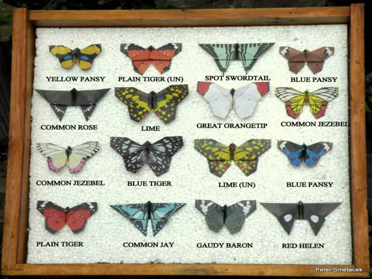 Butterfly Research Centre