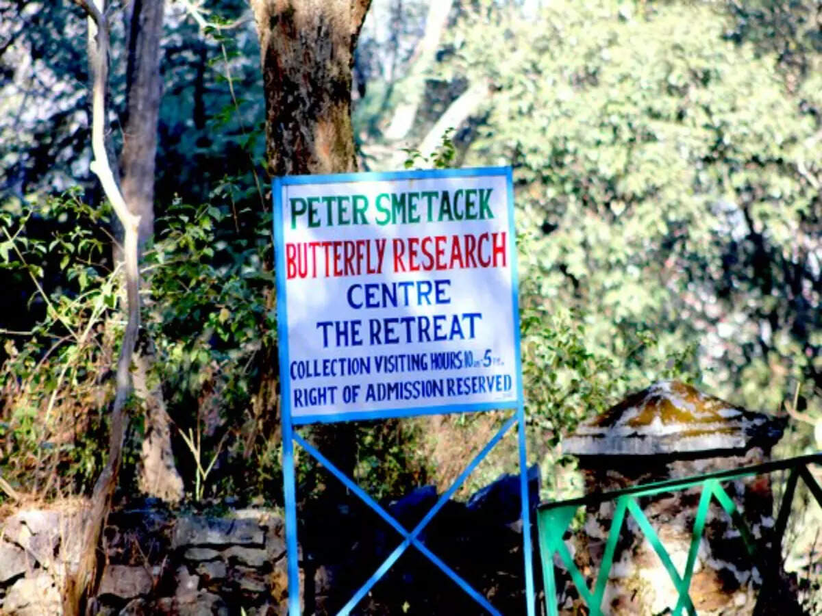 Butterfly research centre entry