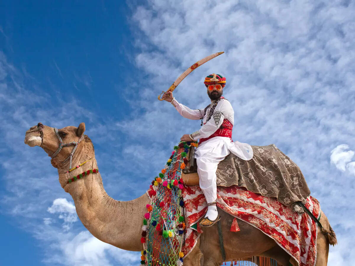 At Bikaner Camel Festival