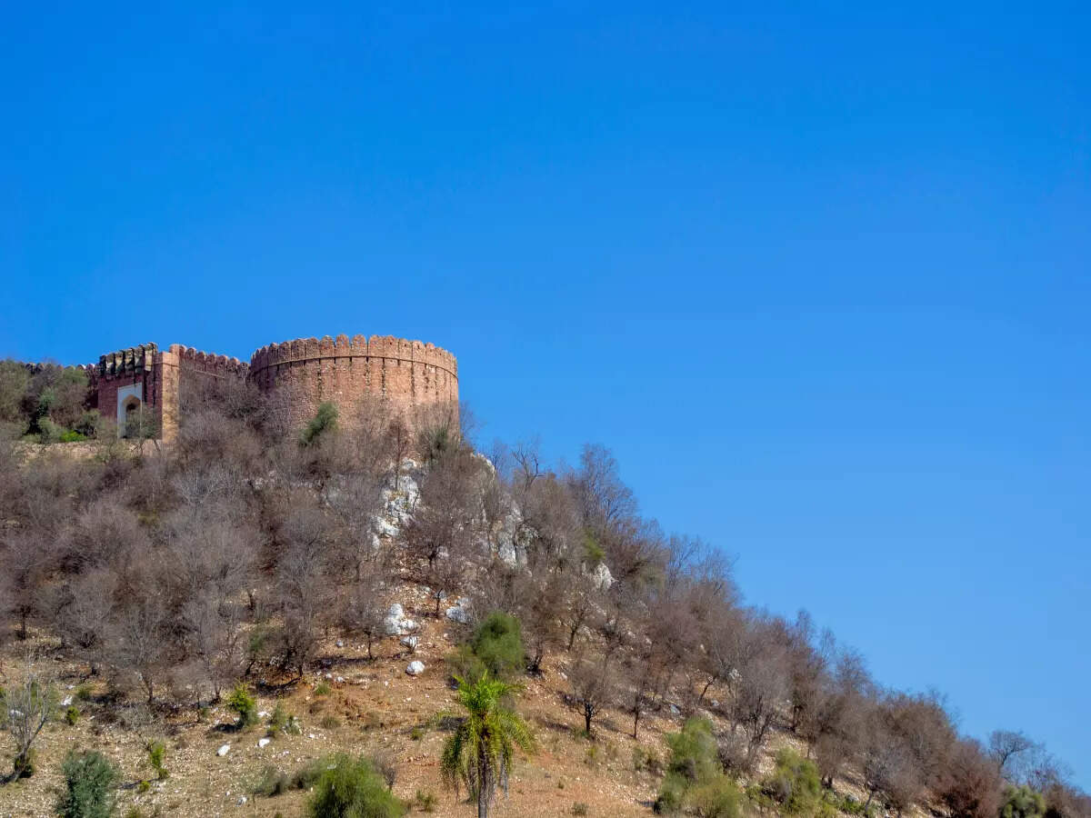 Kankwari Fort at Sariska National Park