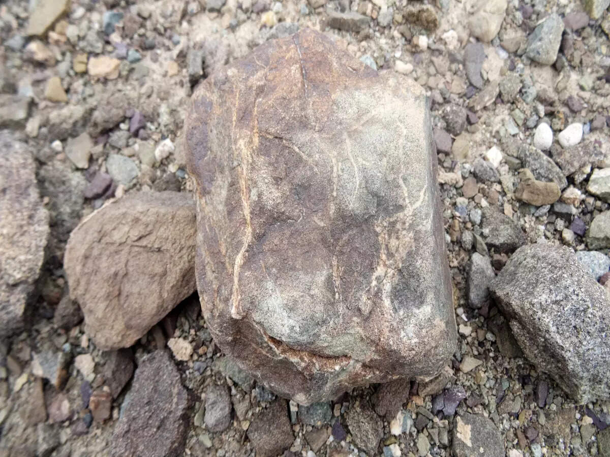 Rock art in Leh