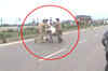 Truck driver beaten to death for not paying bribe