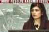 UNGA: Pak raises Kashmir issue again