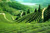 Destination Darjeeling - The Queen of the Hills