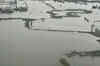 Thai businesses badly hit by floods