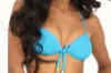 Poonam Pandey