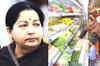 Decision on FDI in retail a rude shock: Jayalalithaa