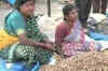 Traditional peanut festival held in Bangalore
