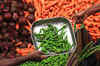 Food Inflation declines sharply to 6.60% for week ended Nov 26
