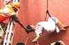 Kolkata: Death toll rises to 89 in hospital fire