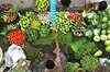 Food inflation falls sharply to 4.35%; lowest since Feb 2008