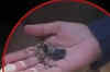 Bhanwari Devi's watch, jewellery found in canal