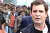 Rahul surrounded by wrong advisors: BSP