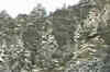 Avalanche warning sounded in Kashmir Valley