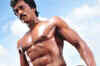 Poola Rangadu: New Trailer 