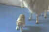 Scientists clone world's first Pashmina goat
