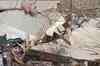 Rural housing scheme to be upgraded: FM